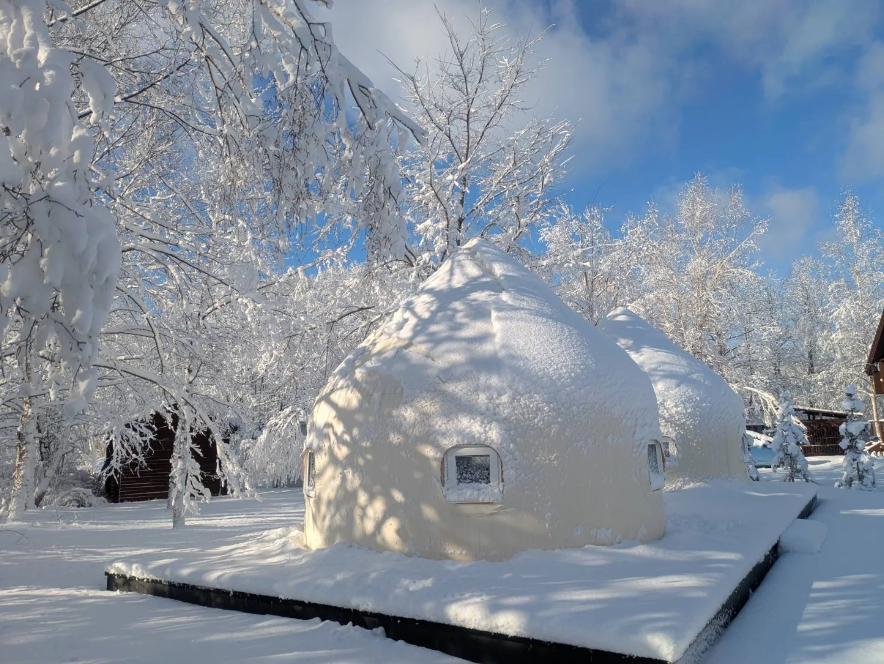 THE LODGE 冬のドーム